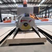 Machine de découpe de céramique portable de haute précision 2800W Coupe-carreaux de dalle de roche facile à utiliser avec équipement de service de rail de guidage