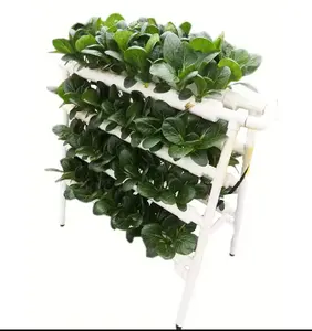 Agricultural Greenhouses Vertical Farming Aeroponics System Hydroponic Grow Rack Garden Vertical Hydroponic System e Farm