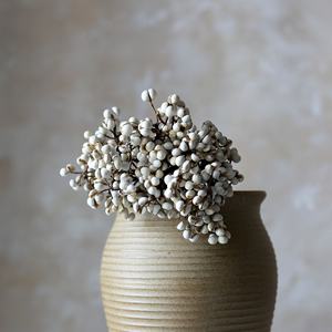 ดอกไม้แห้งธรรมชาติผลเบอร์รี่ Excoecaria แจกันฟิลเลอร์ดอกไม้โต๊ะรับประทานอาหารกลางตกแต่งแปะก๊วยขนาดเล็ก - Product Image 4