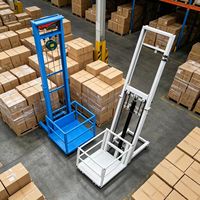 Ascenseur domestique compact à faible coût, plateforme élévatrice, élévateur de marchandises simple, ascenseur pour biens domestiques, ascenseur pour personnel