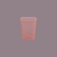 Vente en gros de pots de plantes en plastique 10*13CM, pots de pépinière transparents et colorés, petits pots carrés, pots de fleurs pour plantes succulentes de jardin