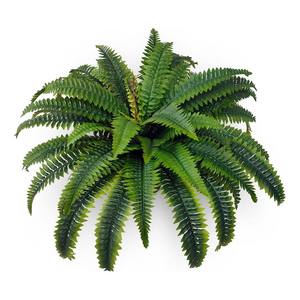Nouvelles feuilles artificielles de fougère verte persane, plante verte artificielle, herbe artificielle, feuilles de fougère en plastique - Product Image 3