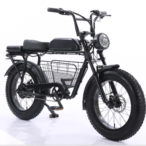 Long Range 100KM Pit Dirt Bike 1200W 250CC 150CC 125CC Scooter Electric Motorcycle
