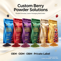 Poudre de baies SYC BIO Power, mélange quotidien de baies et de graines, soutien avancé au bien-être quotidien, 150g, 30 portions pour smoothies