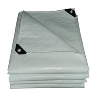 Fabrication de rouleaux de bâche en PVC/PE/PP personnalisables au meilleur prix pour les couvertures de camions et les tentes