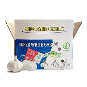 Low Price factory direct sales 4.5cm 10KG/BAG mesh bag Fresh White Garlic supplier