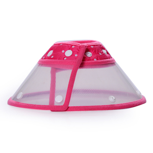 2019 Haute qualité <span class=keywords><strong>Chat</strong></span> Chien Protection D'opération Beauté <span class=keywords><strong>Collier</strong></span> fournitures pour animaux de compagnie colliers de chien - Product Image 2