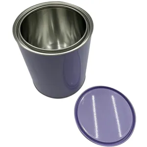 Multi functional 4L tin cans for paint chemical industry Tin Metal bottle Aerosol canister Aluminum bottle Metal iron sheet