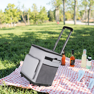 3-in-1 Eco-Friendly Classic <strong>Cool</strong> Box <strong>with</strong> Picnic &amp; Insulated <strong>Bags</strong>-35L Trolley Thermal <strong>Bag</strong> <strong>with</strong> <strong>Wheels</strong> for Camping Beach BBQ - Product Image 1