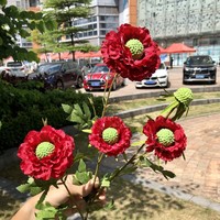 5 Tangkai Bunga Scabiosa Buatan dari Sutra, Bunga Palsu untuk Dekorasi Pernikahan, Rumah, Pesta, dan Centerpieces Meja
