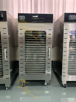 Commerciële Fruit Groenten Droger Tomaat Chili Peper Droogoven Mango Droogmachine