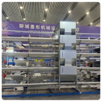 Vente en gros de cages à oiseaux automatiques à étages, modèle MT, nouveau modèle, garantie 1 an, acier galvanisé à chaud, usine du Shandong
