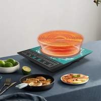 Cuisinière électrique à induction WINNING STAR 2200W Crystal haute température ST-9674-L, résistante et portable