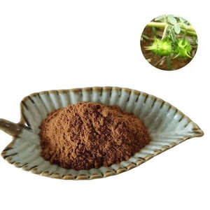 Extrait de Longsheng <span class=keywords><strong>Tribulus</strong></span> <span class=keywords><strong>Terrestris</strong></span> dans un récipient en plastique extrait de plante <span class=keywords><strong>Tribulus</strong></span> <span class=keywords><strong>Terrestris</strong></span> poudre - Product Image 3