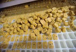 Đóng băng khô niềm đam mê trái cây-Bán buôn số lượng lớn | sẵn sàng để ăn | bao bì Quà Tặng OEM | cung cấp Nhà Máy | siêu thực phẩm bán chạy - Product Image 5