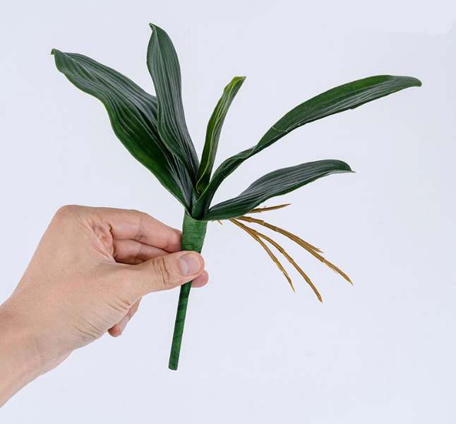 Moyen - 22 cm - 5 feuilles