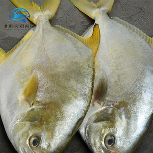 Venda por atacado de peixes de Pompano dourados congelados de boa qualidade, preço de fábrica na China, peixes Pomfret - Product Image 3