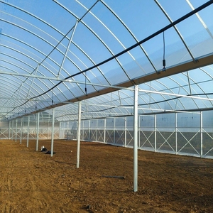 <span class=keywords><strong>Serre</strong></span> à travées multiples Arche <span class=keywords><strong>agricole</strong></span> Toit en dôme <span class=keywords><strong>Serre</strong></span> Équipement commercial d'<span class=keywords><strong>occasion</strong></span> à vendre - Product Image 4