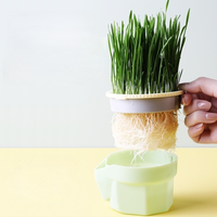 Vente en gros d'herbe pour chat Kit de plantation d'intérieur Conception de changement d'eau en couches Pulvérisation d'herbe pour chat Semence d'herbe en bambou