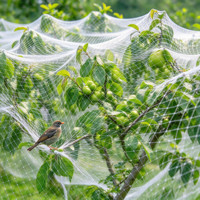 Filet de protection robuste en rouleau pour volailles, idéal pour la protection des volières, vergers de cerises, myrtilles, fraises et pêchers