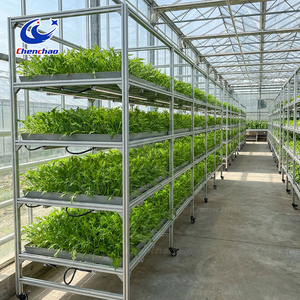 Professional Mobile Ebb and Flow Table with Durable Aluminum Frame for Commercial Greenhouse and <strong>Industrial</strong> <strong>Hydroponic</strong> Pro - Product Image 4