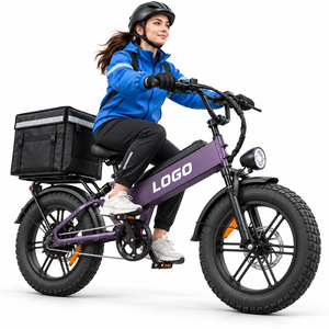 Vélo électrique de montagne Factory D40 750W 48V40AH Fourche en aluminium Antirouille Disque de 203 mm OEM - Product Image 1