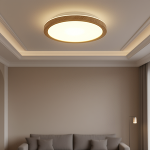 Lámpara de Techo LED Moderna de Metal Paulmann, 190 mm, Blanco Cálido 3000K, Uso Interior - Product Image 2