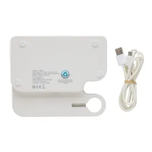 Caricabatterie doppio da 15W, gadget sostenibili - Product Image 2