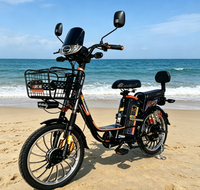 Vélo électrique deux places avec dossier et panier avant en fer, longue autonomie, batterie au plomb-acide, vélo électrique de ville