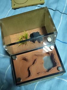 Nistkasten-Formicarium-Haus – Acryl-Ameisenzuchtnest mit 18-ml-Wasserturm, Erweiterungsanschluss & <span class=keywords><strong>Mini</strong></span>-<span class=keywords><strong>Terrarium</strong></span> für Schulwissenschaften - Product Image 5