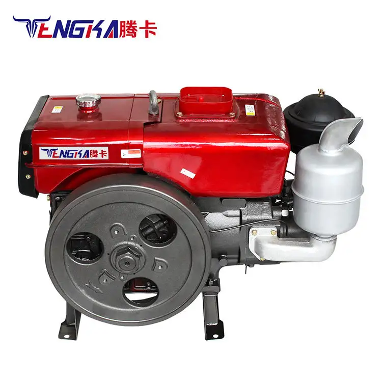 20hp Efficient Single Cylinder Diesel Agricultural Engine Zs195 Zs1100 Zs1115 Zs1130 with Motor Gearbox for Farms Generators