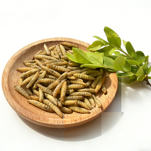 Larvas Secas de Mosca Soldado Negra a Granel, Alimento Seco de Gusanos de Fábrica Estable para Ganado, Aves de Corral, Acuarios y Mascotas - Product Image 2
