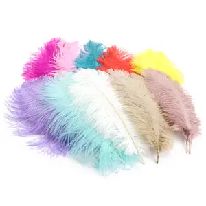 Ostrich Hair 30-35cm Color Feather Wedding Decoration Flower Arrangement Stage Costume Wedding