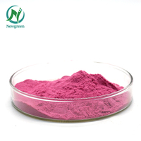 Groothandel Bulk Organische 100% Water Oplosbaar Rood Dragon Fruit Poeder