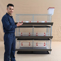 Nouvelle cage à poulets de type H, gain de place, 3 niveaux, avec abreuvement automatique et plateaux à fumier amovibles
