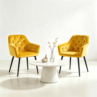 Fauteuil moderne rembourré en velours capitonné pour salon, appartement, café, hôtel