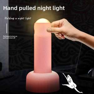 Wholesale LED Night <b>Light</b> Table Sleep Lamp Hand <b>Pull</b> Switch Rechargeable Atmosphere for Bedroom Decoration Birthday Gift - Product Image 2