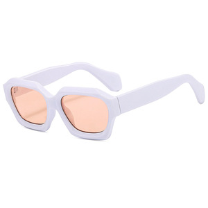 Gafas de Sol Acrílicas Simples de Moda 2025 para Hombre y Mujer, Material del Marco de PC - Product Image 5