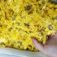 Harga Terbaik 1kg Chrysanthemum Golden Silk Kering Premium Mentah, Teh Kesehatan Daun Lepas untuk Cangkir