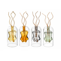 Diffuseur de parfum en verre style influenceur Instagram, pour chambre et salon, sans flamme, bouteille d'aromathérapie