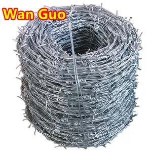 High Quality Manufacturer South America Market Galvanized Double Twisted Barbed Wire