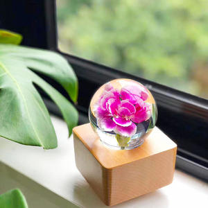 Día de San Valentín Regalos de Navidad para mujeres Idea de regalo Regalo del Día de la madre Flor real Luz nocturna Entrega rápida Lámpara de decoración - Product Image 5