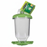 Window Station for Outdoor Wild Birds with Suction Cup Bird Feeder