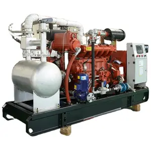 100kW 200kW 250kW 300kW 350kW 400kW 500kW CHP Generador de biogás/Generador de biomasa Precio de China