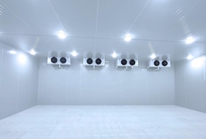 Chambre froide de plain-pied avec compresseur Emerson à commande automatique et panneau <span class=keywords><strong>solaire</strong></span> pour le stockage de crèmes et garnitures congelées pour pâtisseries - Product Image 2