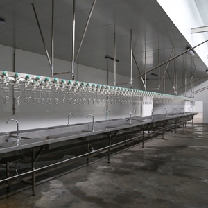Sistema de Matadero Automático para Aves de Corral, Línea de Deshuesado de Pollos, Patos, Gansos y Aves de Engorde, Equipo de Sacrificio y Procesamiento - Product Image 3