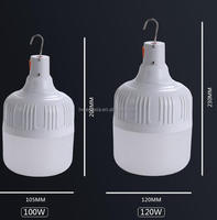Ampoules LED rechargeables par USB Ampoule de secours à piles avec crochets pour panne de courant sans fil maison extérieure