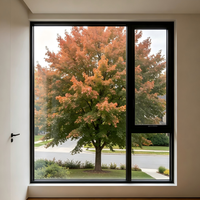 Puertas y Ventanas de Aluminio con Marco Delgado, Persianas de Aluminio con Rotura de Puente Térmico 6060 T66 en Venta