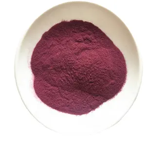 Siêu chất lượng Acai Berry bột 99% Acai Berry chiết xuất cấp thực phẩm Acai Berry bột