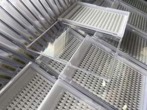 Pestañas Postizas Profesionales Hechas a Mano, Base Delgada, Premium 10D 0.05, Visón Sintético, Negro Mate Oscuro, Logotipo Personalizado, Extensiones de Pestañas Grandes - Product Image 2